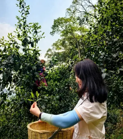 上海吃喝玩乐攻略网：解锁魔都夜生活与品茶休闲的极致体验