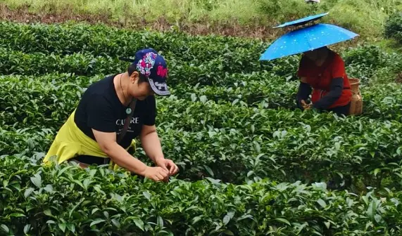 上海多伦路文化街：一条藏着百年民国风情的时光隧道🚶‍♀️