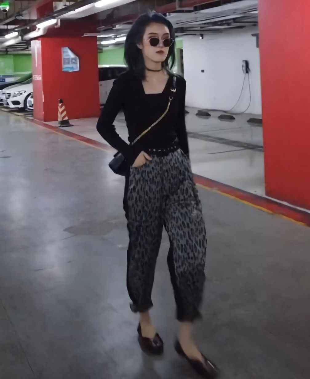 豹纹裤子搭配（豹纹裤配甚么上衣都雅）