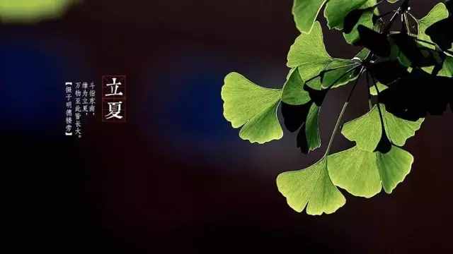 立夏时辰（2021年甚么时辰立夏）
