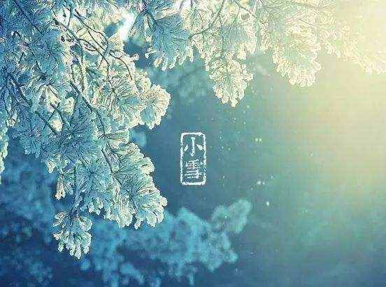 为甚么说瑞雪兆康年（瑞雪为甚么兆康年）
