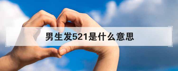 521是甚么意义（521是甚么意义）