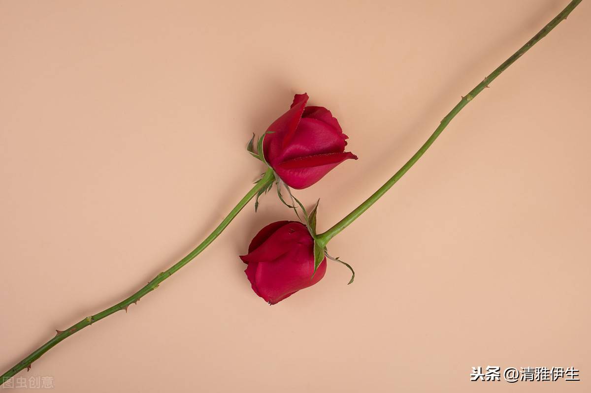 若何戒性糊口(有甚么方式能够戒掉性)