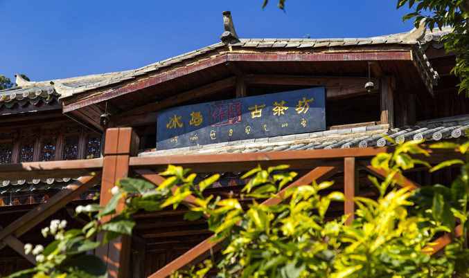 茶黄金（寻访：“茶黄金”）