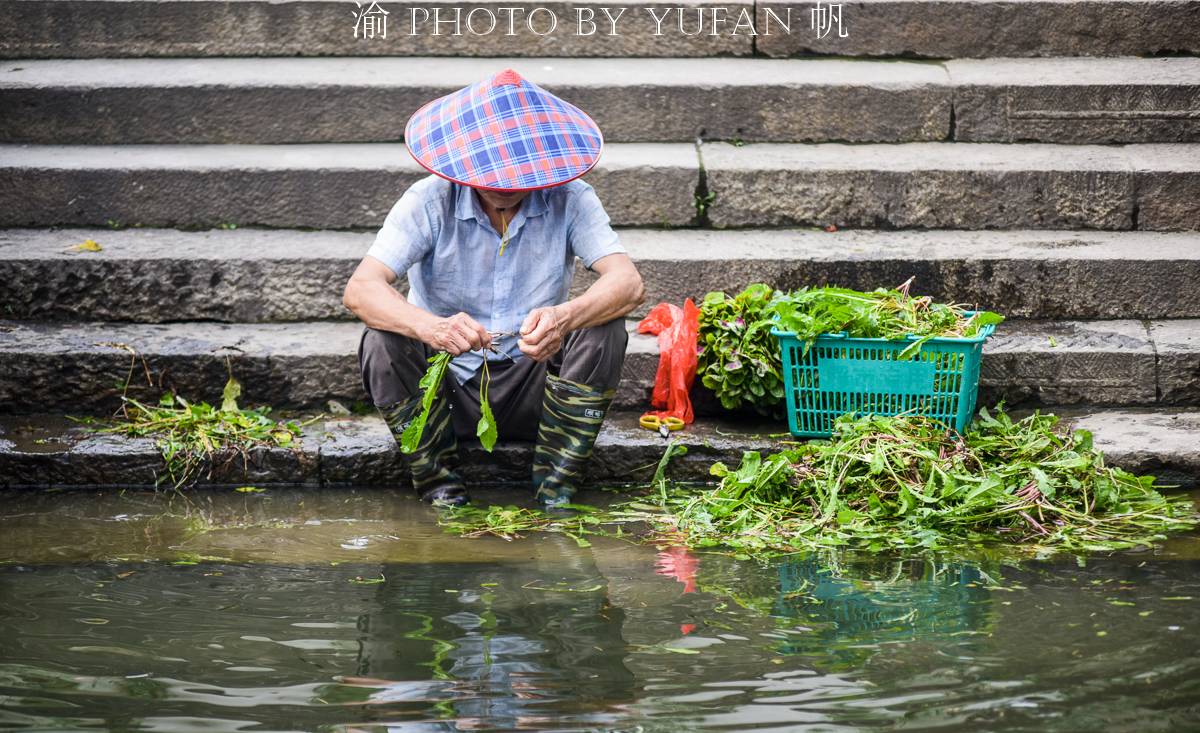 江苏古镇有哪些(山东合适一日游的古镇)