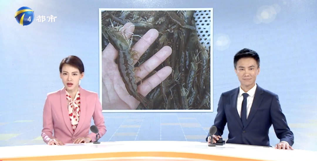 海虾怎样做好吃又简略(海虾怎样做好吃又简略家常菜谱)