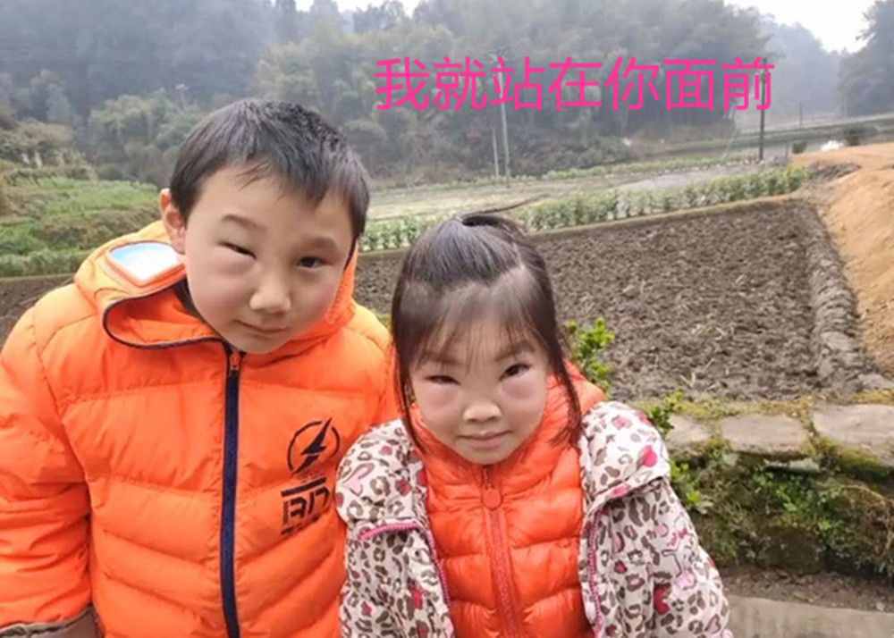 捅蚂蜂窝（兄妹勇捅蚂蜂窝）