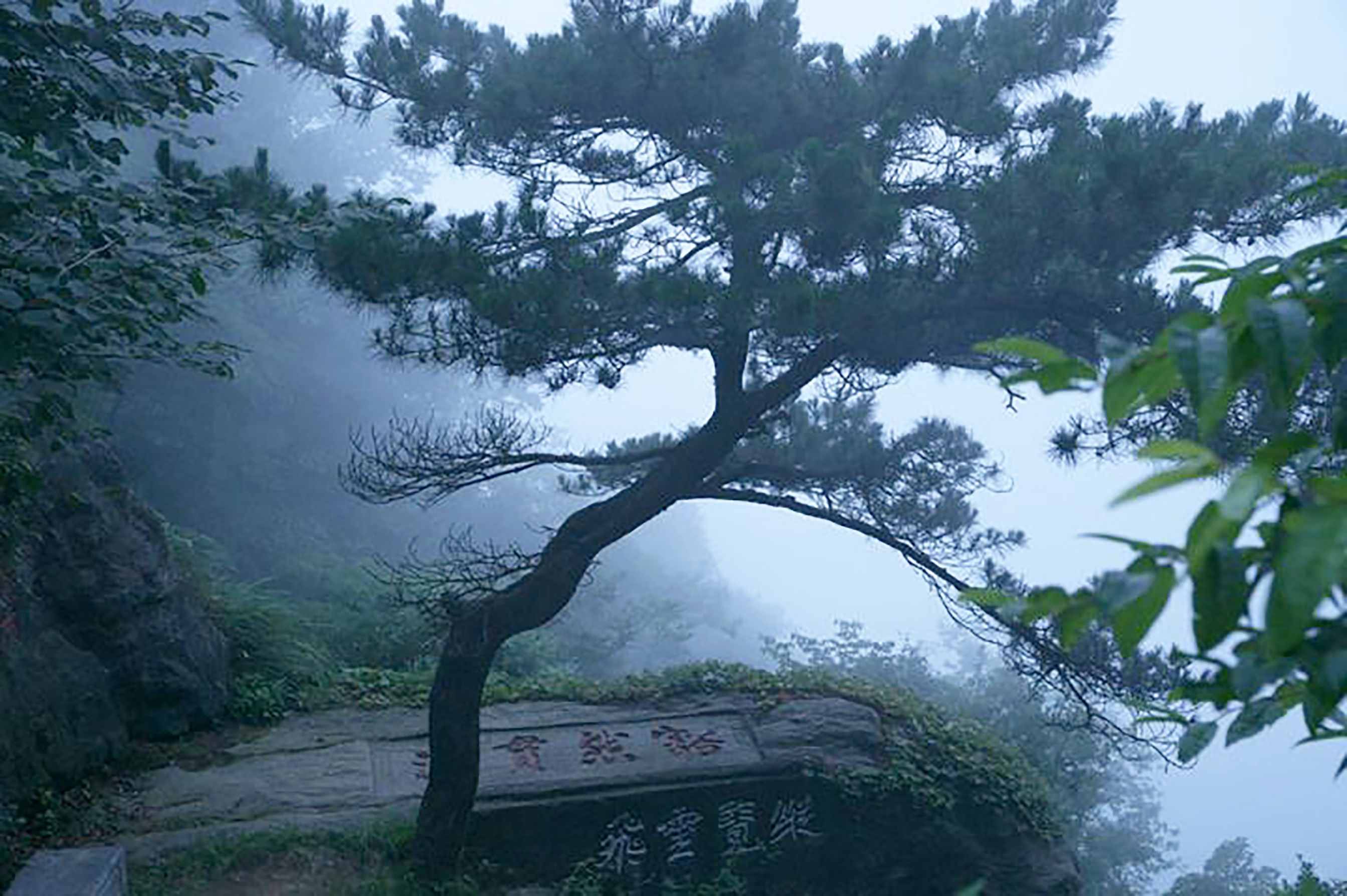 庐山在哪（庐山）