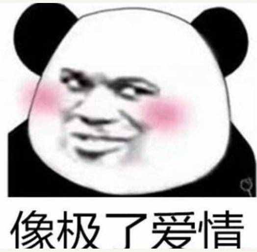 像极了恋情甚么梗（像极了恋情是甚么意义）