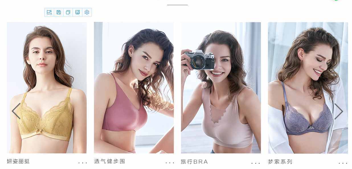 芬狄诗官网（老牌亵服龙头安莉芳客岁吃亏上万万）