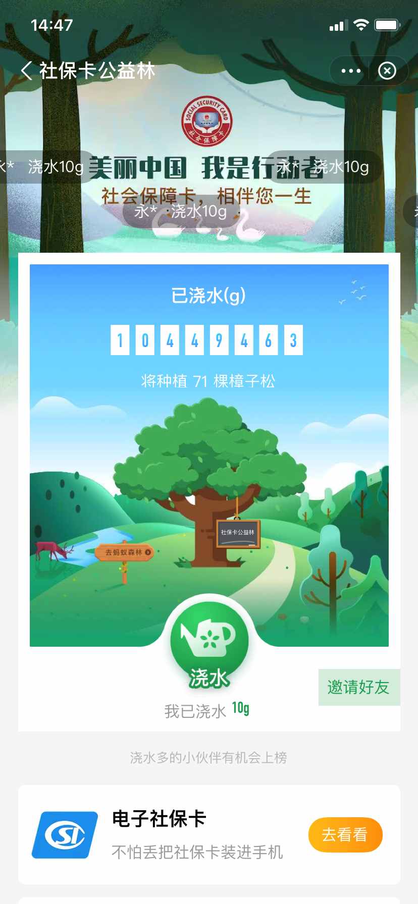 蚂蚁丛林浇水（邀您来蚂蚁丛林为地球加点绿 ）