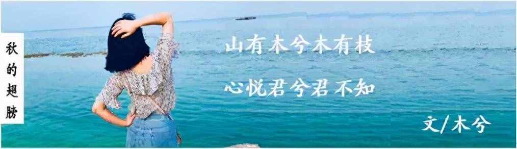 就像一盒巧克力（就像一盒巧克力甚么意义）