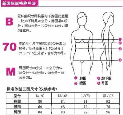 三围怎样算（三围是哪三围 三围怎样丈量 三围尺码图）
