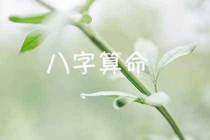 收费称骨算命（收费算命八字算毕生）