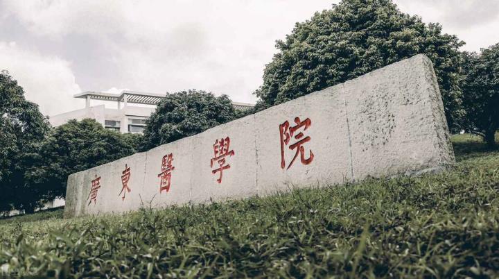 广东陆地大学是几本（广东金融学院是几本）