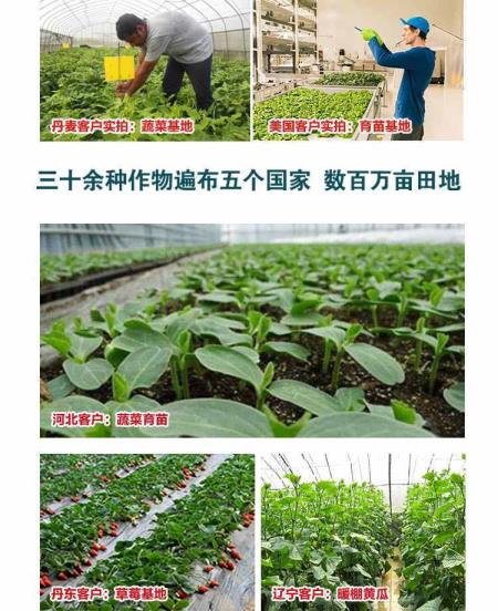 氨基酸是甚么（氨基酸洗面奶痘痘越洗越多）