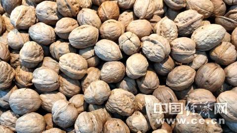核桃仁能放多久(核桃仁密封保管多久)