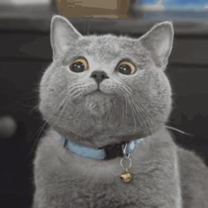 割双眼帘手术多久规复(割双眼帘规复多久忌甚么)