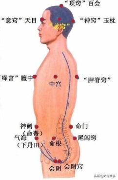 土壤的浅笑（土壤的浅笑原文及标题标题问题谜底）