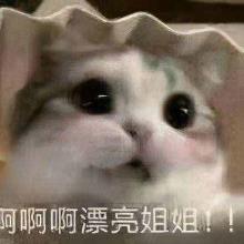 名侦察柯南557（名侦察柯南第979）