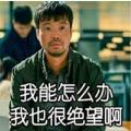 胃肿瘤能活多久(胃癌吃甚么工具最养分)