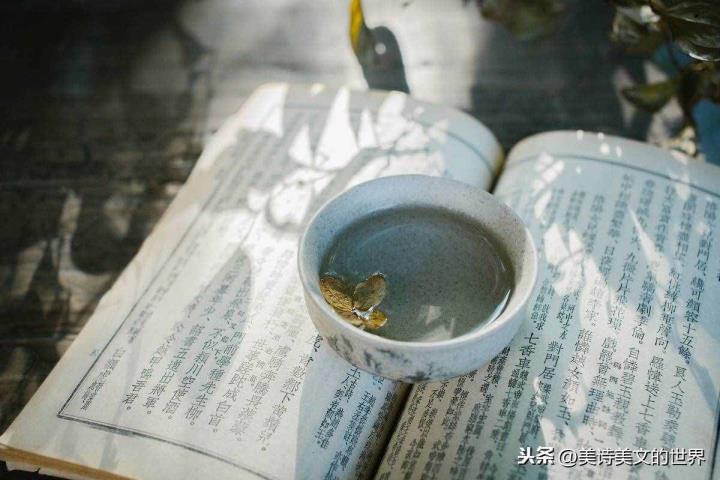 婵娟的意义（婵娟是甚么意义寄义）