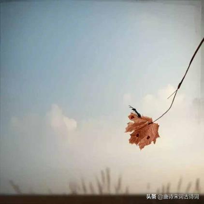 情何故堪意义（让我情何故堪怎样诠释）