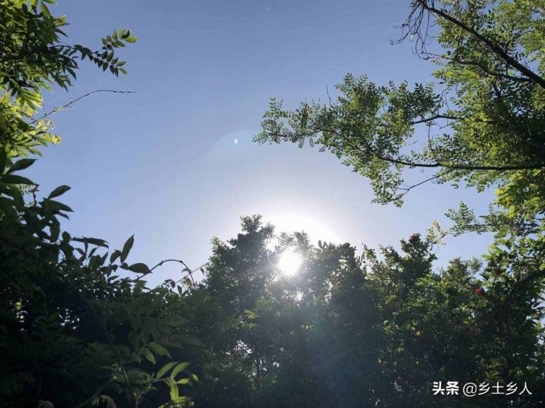 立夏是哪天（立夏摄生食谱）