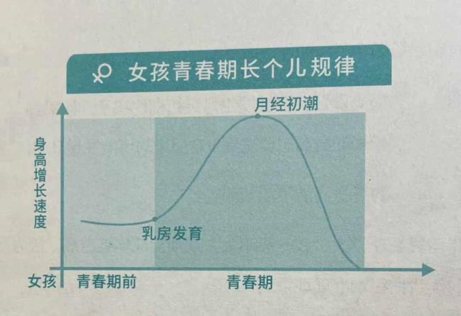 芳华期发育（女孩芳华期乳房发育）