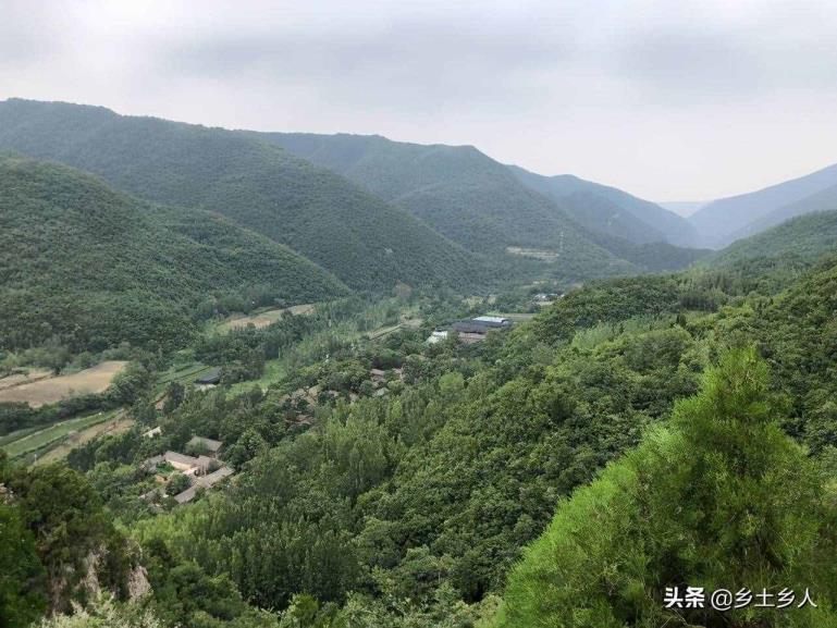 本年大年是几号（2021年是大年仍是大年）