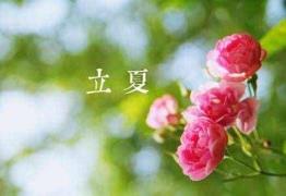 立夏时辰（二十四骨气表时辰表）
