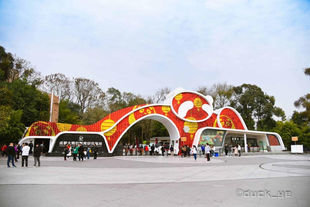 成都熊猫基地在哪（成都熊猫基地具体攻略）