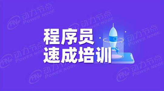 软件要学多久(学电脑的软件app)