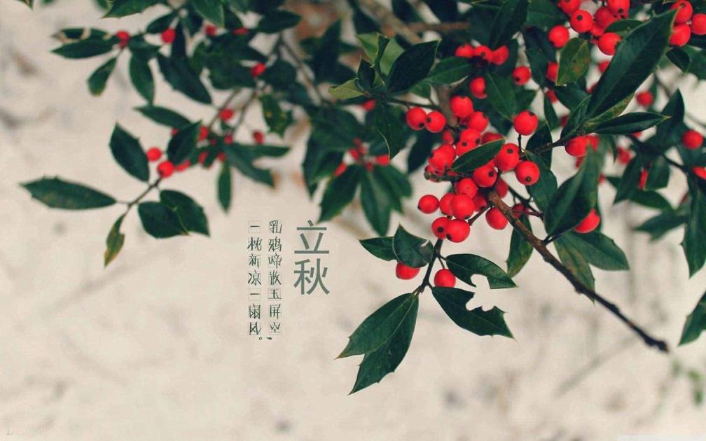 泡脚的最好时辰（上午泡脚的最好时辰是几多）