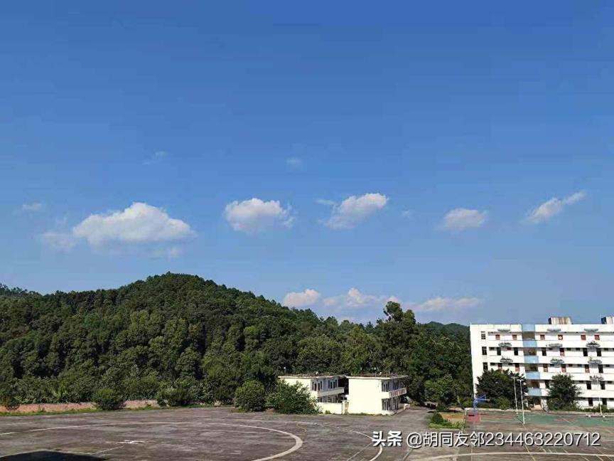 我行我素的意义（我行我素的人脾性特色）
