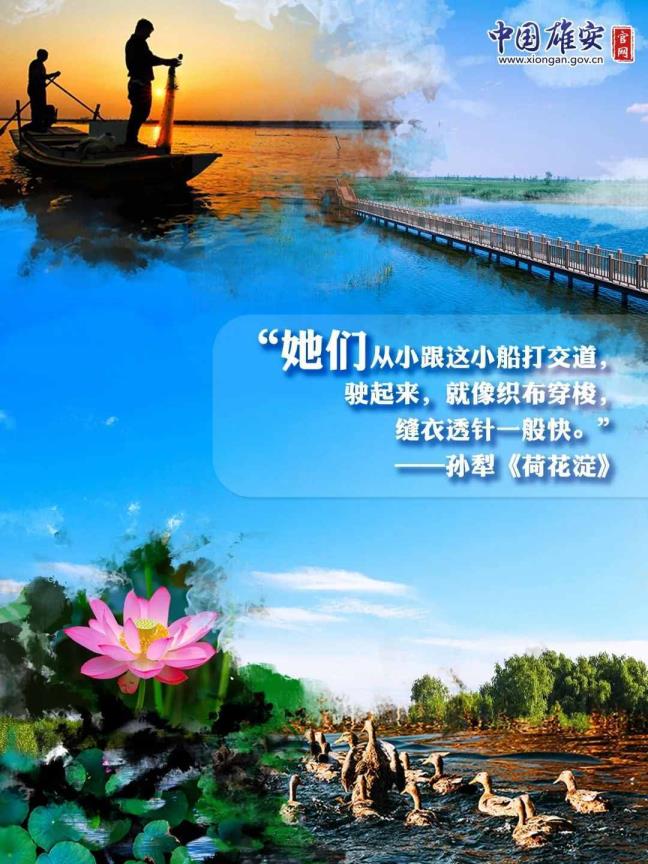 保定白洋淀（保定白洋淀景区开放了吗）
