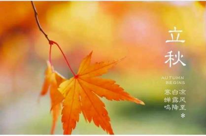 雨的鄙谚（对于下雨的农谚谚语大全）
