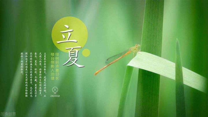 立夏风尚吃甚么（炎天吃甚么摄生）