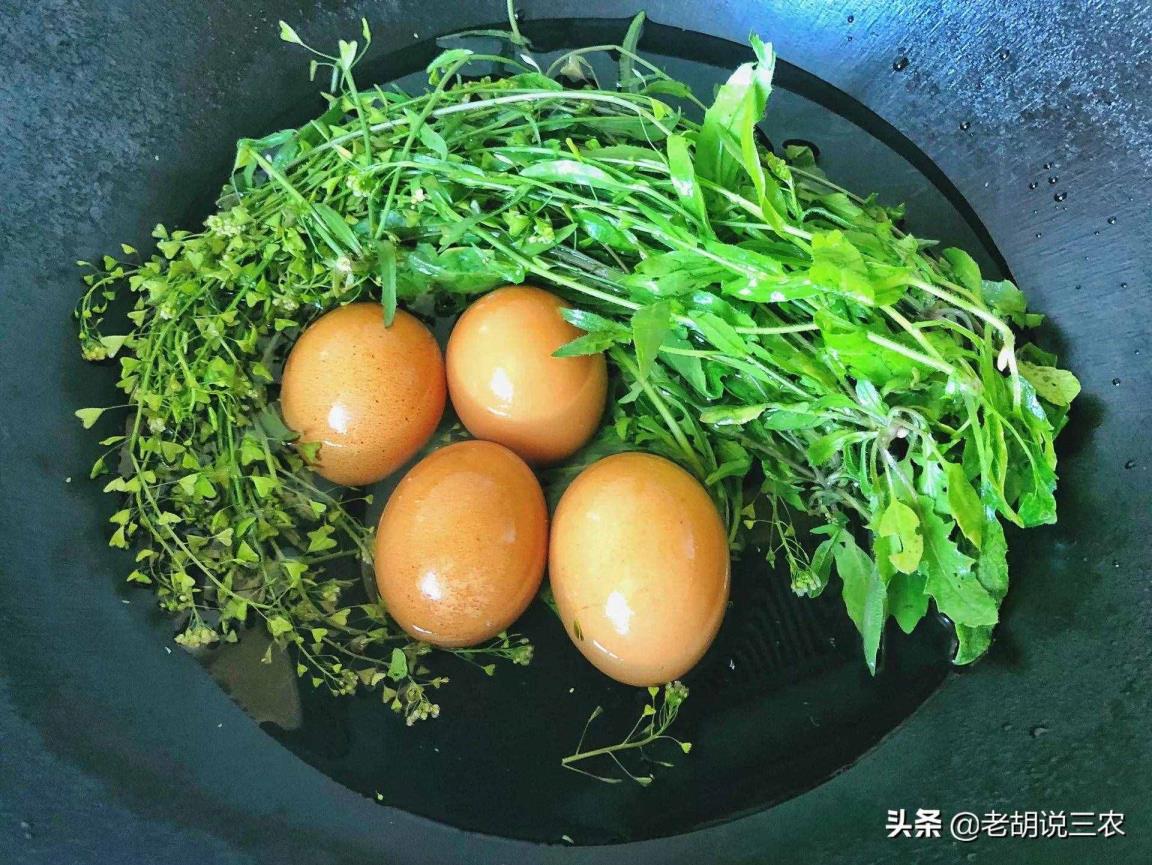 三月三煮鸡蛋（三月三吃鸡蛋是甚么节日）