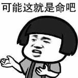 大先生书包（男大先生书包牌子保举）