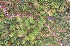 云海旧道（洛克王国怎样去云海旧道）
