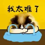 火车票返程票若何买（高铁能够来回一路买吗）