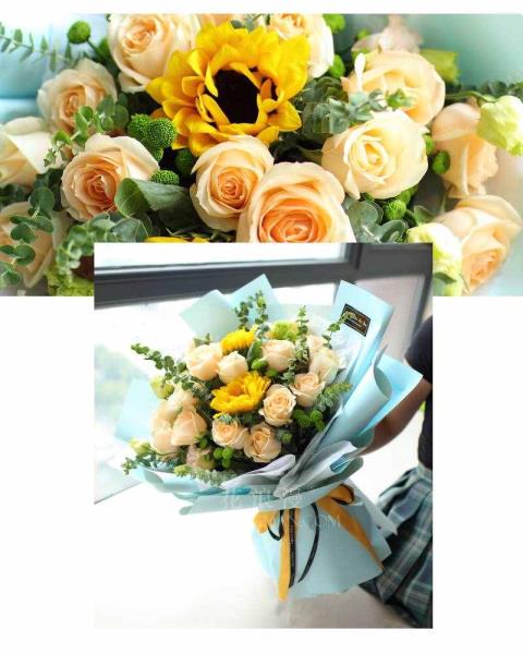 太阳花的花语（各类送花寄义）