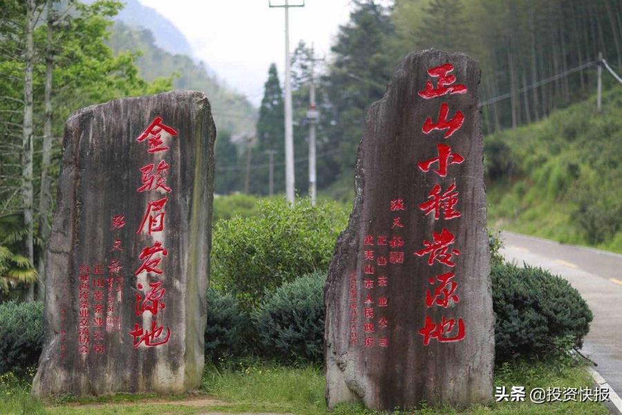金骏眉属于甚么茶（金骏眉是普洱茶吗）