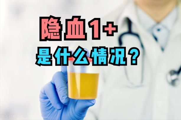 隐血是甚么意义(尿惯例隐血1 严峻吗)