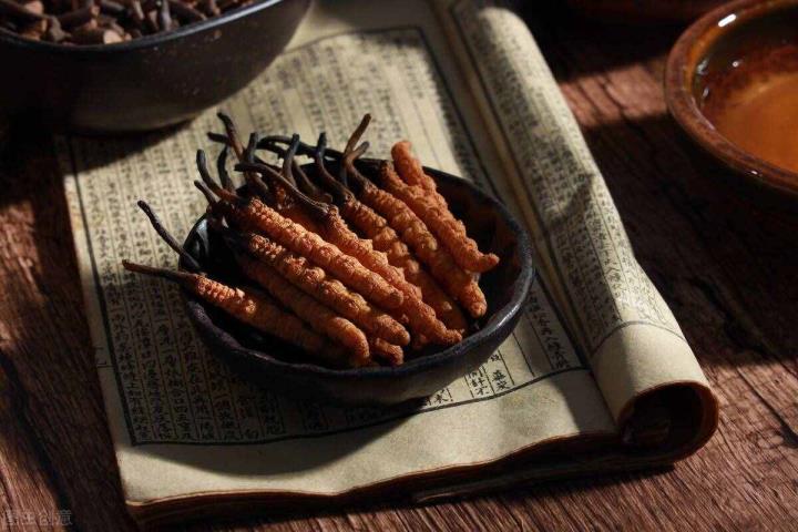 冬虫夏草是甚么（冬虫夏草的构成道理）