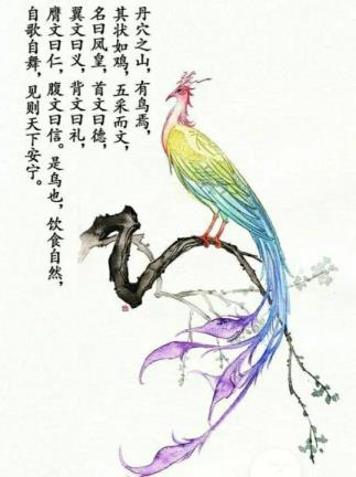 凤凰涅磐是甚么意义(凤凰涅��英文缩写)