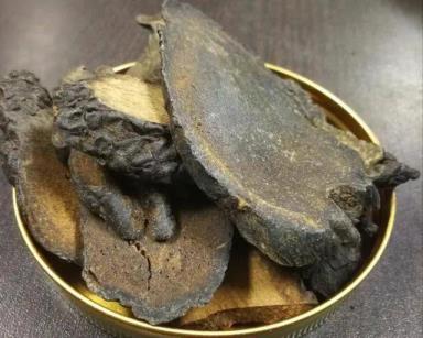 肉苁蓉是甚么(肉苁蓉怎样吃补肾最好)