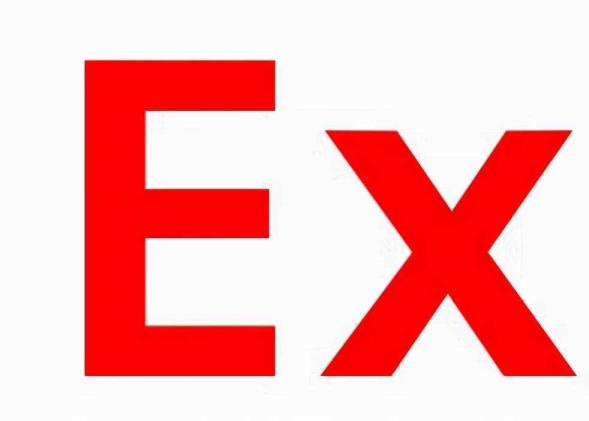 ex甚么意义(网上说的ex是甚么意义)