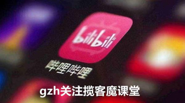 哔哩哔哩是甚么(bilibili是个甚么样的平台)